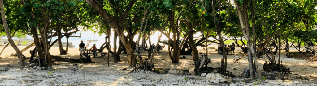 Smith Barcadere, Cayman